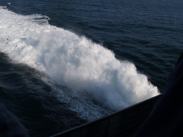 P8261959.JPG