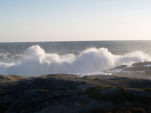 PB042352.JPG