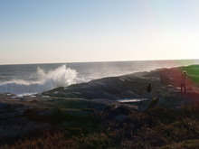 PB042356.JPG